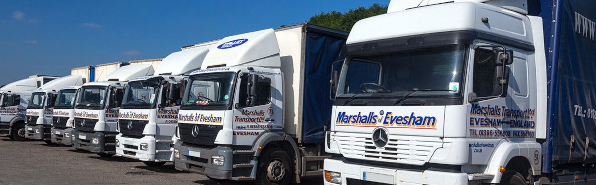 A row of Marshalls Transport Lorries